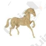 horse[1].jpg
