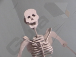 Esqueleto 2.jpg